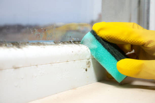 Best Residential Mold Removal  in Ponchatou, LA