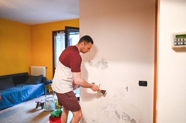  Ponchatou, LA Mold Removal Pros