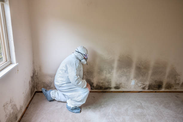 Best Crawl Space Mold Removal  in Ponchatou, LA