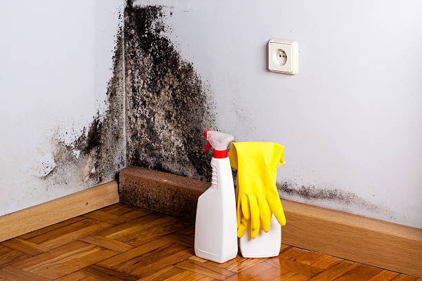 Best Mold Testing  in Ponchatou, LA